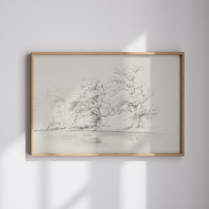 Op de afbeelding: Een ingelijste potloodschets van een landschap met bomen en water. Het kunstwerk is in grijstinten, met gedetailleerde schaduwen die diepte en textuur cre&euml;ren. De lijst is gemaakt van lichtgekleurd hout, wat een natuurlijke toets geeft.