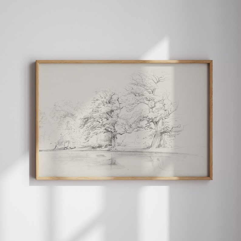 Op de afbeelding: Een ingelijste potloodschets van een landschap met bomen en water. Het kunstwerk is in grijstinten, met gedetailleerde schaduwen die diepte en textuur cre&euml;ren. De lijst is gemaakt van lichtgekleurd hout, wat een natuurlijke toets geeft.