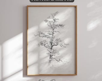 Pine Tree Wall Art Framed Tree Sketch Japandi Nature Print Wabi