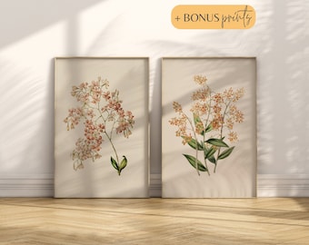 Vintage Peach Flower Botanical Prints: Set of 2, Boho Wall Art (Digital Download)