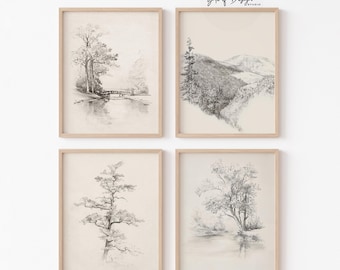 Framed Tree Sketch Prints Set of 4 Vintage Nature Drawings Neutral Physical Prints