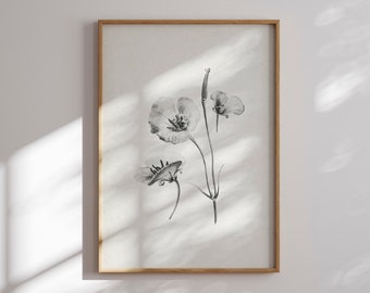 Mohnblumen-Skizzendruck: Minimalistische florale Linienkunst (Digitaler Download)
