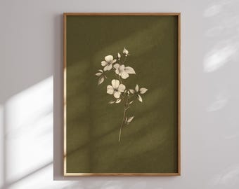 Botanical Printable Wall Art Olive Green Floral Print Vintage Wildflower Illustration