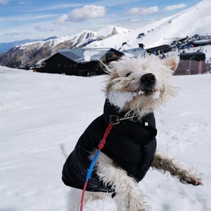 Patrón de abrigo para perros Sub-Zero