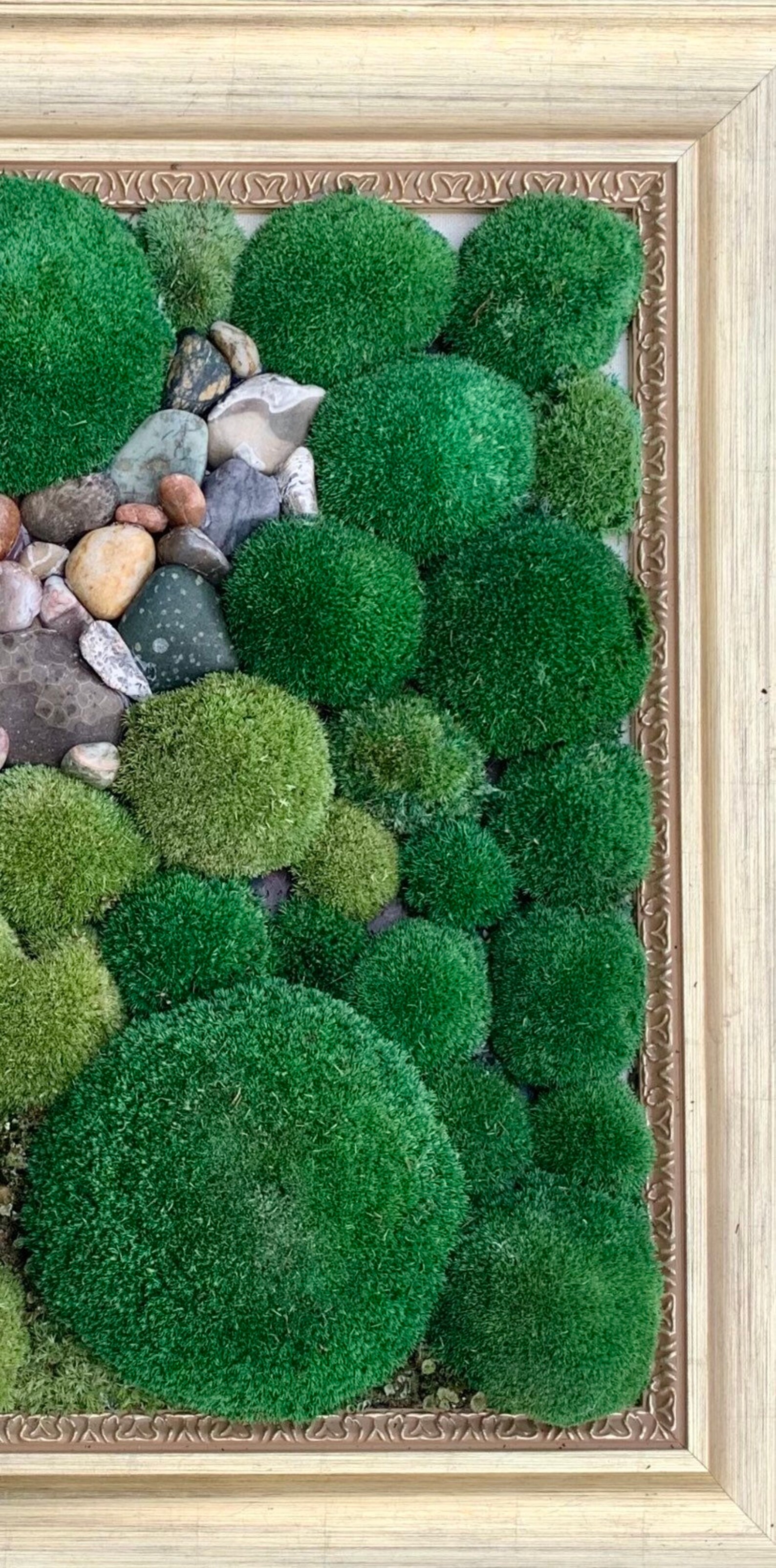 Live Moss Wall Art Etsy