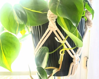 minimalism wall art, plant Hanger Macrame,  plant holder for houseplantmodern, boho home decor, hanging planter, Botanical accessories