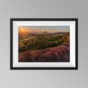 Summer Heather Sunset at Roseberry Topping, North York Moors Print, Yorkshire Landscape Photography Wall Art