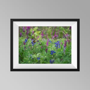 Bee with Spring Wildflowers Meadow - Colourful Blue and Purple Flowers Wall Art Print Photography