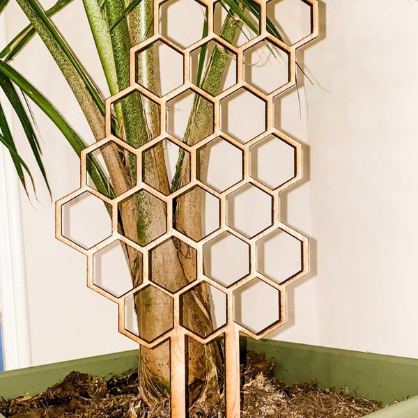 Honeycomb Trellis / Digital File Download / SVG