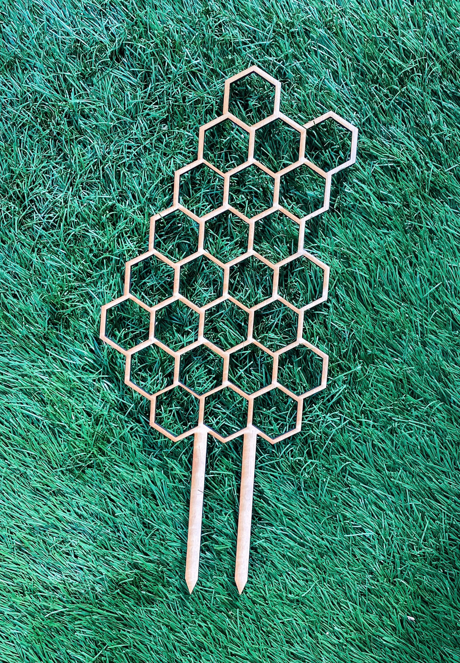 16 Plant Trellis For Indoor or Outdoor Etsy