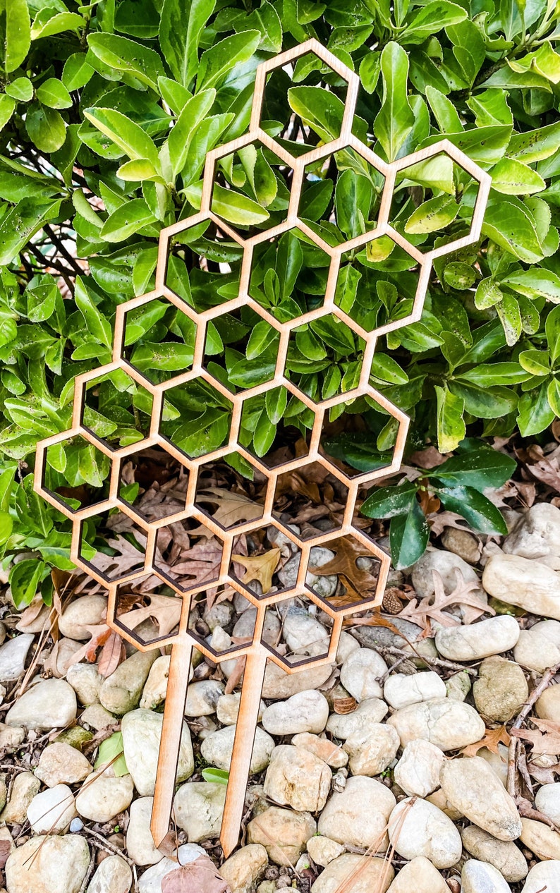 16 Plant Trellis For Indoor or Outdoor Etsy