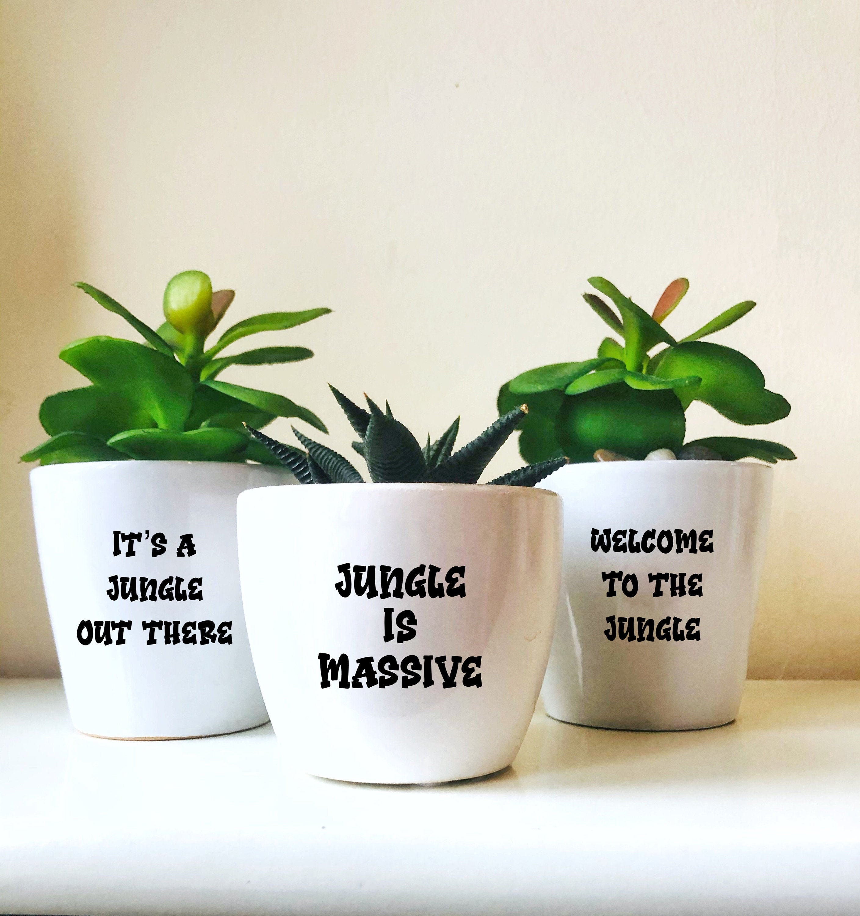 Set of three funny plant pot stickers plant pot vinyl decals Etsy