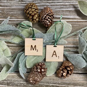 Può includere: Due ornamenti in legno con le lettere "M3" e "A1" incise su di essi. Gli ornamenti sono appesi a un nastro verde e sono circondati da pigne e verde.