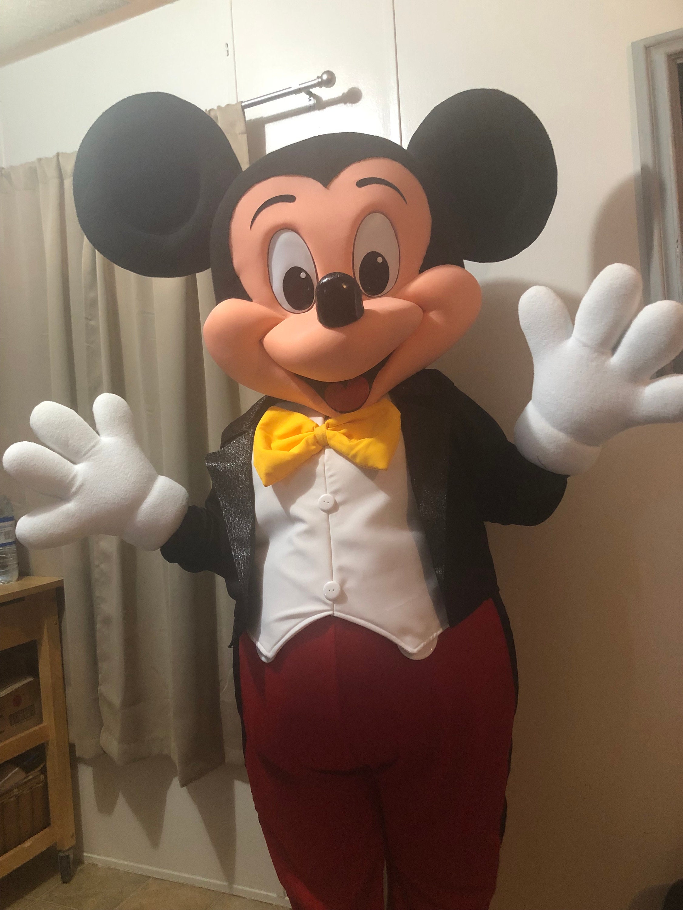 Mickey mouse adult mascot mickey mouse adult costume Etsy