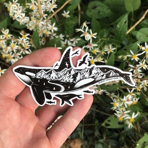 Sticker baleine orque