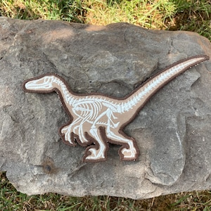 Parche termoadhesivo de Velociraptor: Huesos de dinosaurio que brillan en la oscuridad (19 x 11 cm)