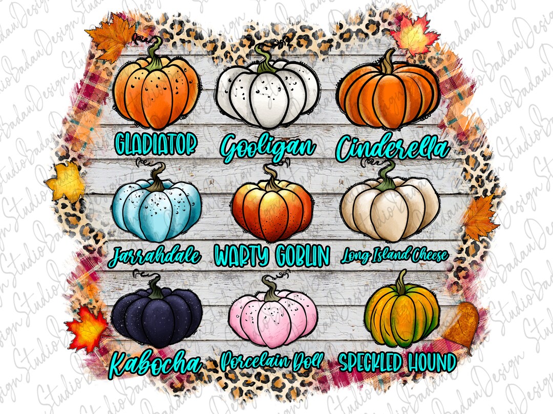 Pumpkin Varieties PNG Jarrahdale Pumpkin Gooligan Etsy