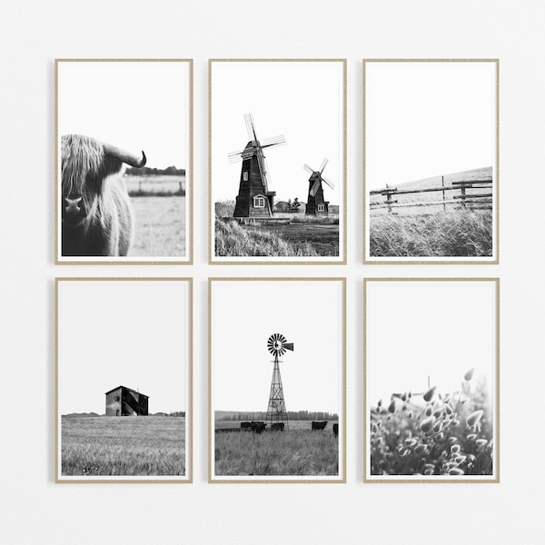 Set of 6 Farmhouse Decor black and white Prints, Barn Print, Windmill print, B&W Nature photography, gallery wall set, Dried Grass Print