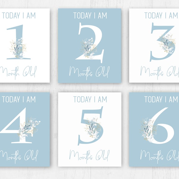 Digital download, Baby Milestone Cards 1st Year Memories Moments, Baby Boy cards, Baby Cards, Baby shower gifts, printable cards, unisex