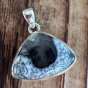 May include: A silver pendant featuring a triangular dendritic agate stone with black and white patterns. The stone is set in a silver frame.