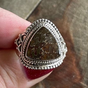 May include: A silver ring with a triangular shaped fossilized stone set in the center. The ring has a detailed, ornate design around the stone.