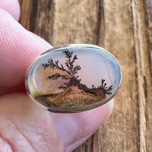 Scenic Dendritic Agate Sterling Silver Ring, Size 6.5, East West Setting, Incredible Picture Scene, Natural Stone Jewelry