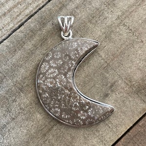 Flower Fossil Coral Sterling Silver Pendant, Brown Gem, Natural Stone Jewelry, Patterned Gemstone, FREE SHIPPING