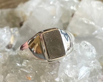 Rare Muonionalusta Meteorite Sterling Silver Ring, Size 10, 1906 Sweden Meteor Strike, Rare Gem, Natural Gemstone Jewelry