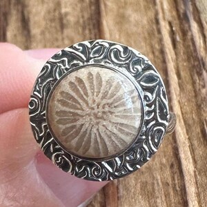 May include: A silver ring with a detailed floral design around a fossilized sea life center piece.