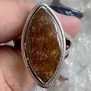May include: A silver ring featuring a brown and white fossilized coral stone set in a marquise shape.