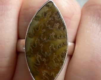 Sutured Ammonite Sterling Silver Ring, Size 7.5, Madagascar Fossil, Suture Fossilized Gem, Marquise Stone