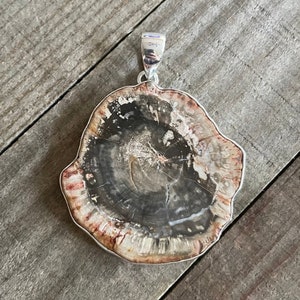 Petrified Wood Statement Sterling Silver Pendant, Large Pet Wood Slice Slab, Fossilized Gem, Tree Rings Wood Grain, Natural Stone Jewelry