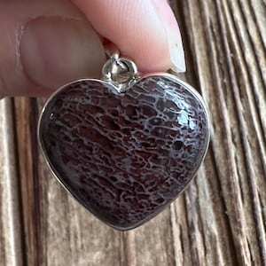 Fossilized Dino Bone Sterling Silver Pendant, Statement USA Dinosaur Bone, Agatized Gem, Natural Stone Jewelry