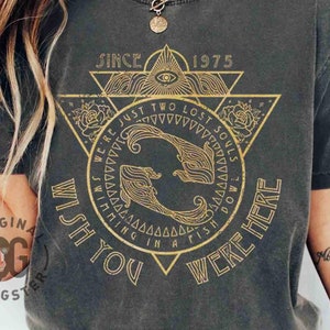 Camiseta de banda de la vieja escuela, camiseta de banda rosa, camiseta retro de banda, colores cómodos, camiseta extragrande "Wish You Are Here", camiseta de festival de rock, regalos de moda