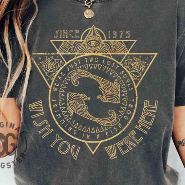 Old School Band Tee, Pink Band shirt retro band tee, Comfort Colors, wish you were here oversized Shirt, Rock Festival tee, trendy gifts