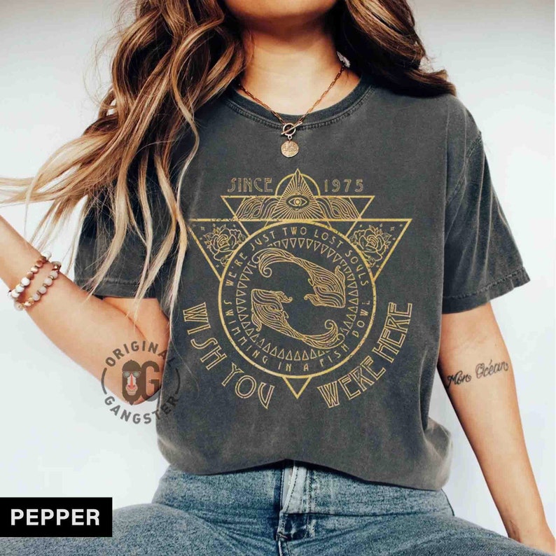 Old School Band Tee, Pink Band shirt retro band tee, Comfort Colors, wish you were here oversized Shirt, Rock Festival tee, trendy gifts