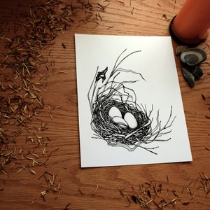 Full House Art Print Home Decor Wall Art Bird's Nest Nature Art Natural Eggs Illustration Bird Pen Drawing Monochrome image 1