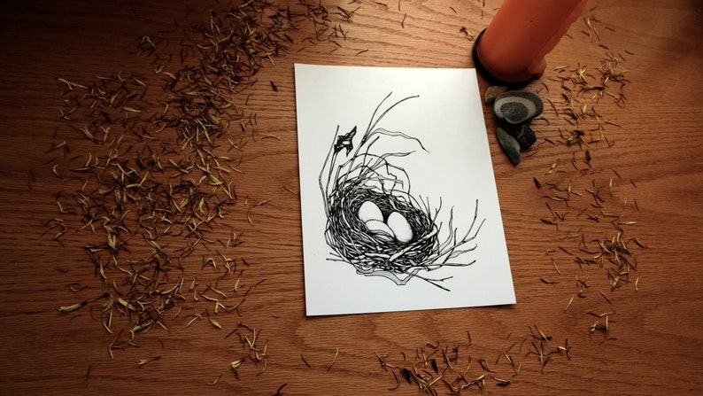 Full House Art Print Home Decor Wall Art Bird's Nest Nature Art Natural Eggs Illustration Bird Pen Drawing Monochrome image 1