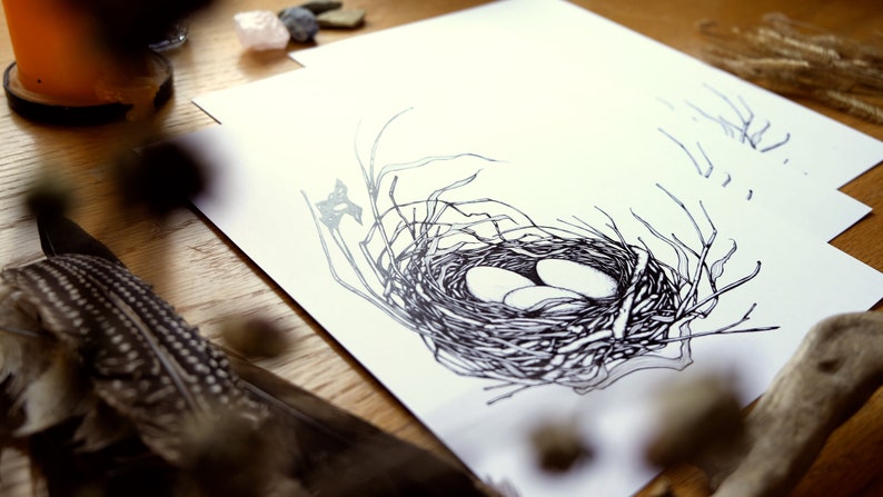 Full House Art Print Home Decor Wall Art Bird's Nest Nature Art Natural Eggs Illustration Bird Pen Drawing Monochrome image 3