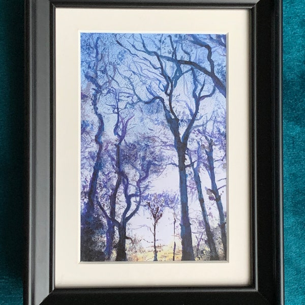 Sunset Winter Trees. Christmas gift for dad, Gardener. Woodland, Woods, Trees, Tree Painting. Packwood Landscape watercolour print by Dion