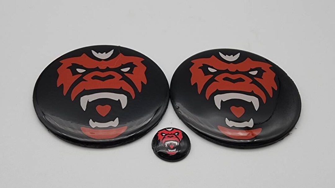 Ryker Emblems RYKER SET Emblem Replacement Badges Set of 3 Can-am BRP - Etsy Canada