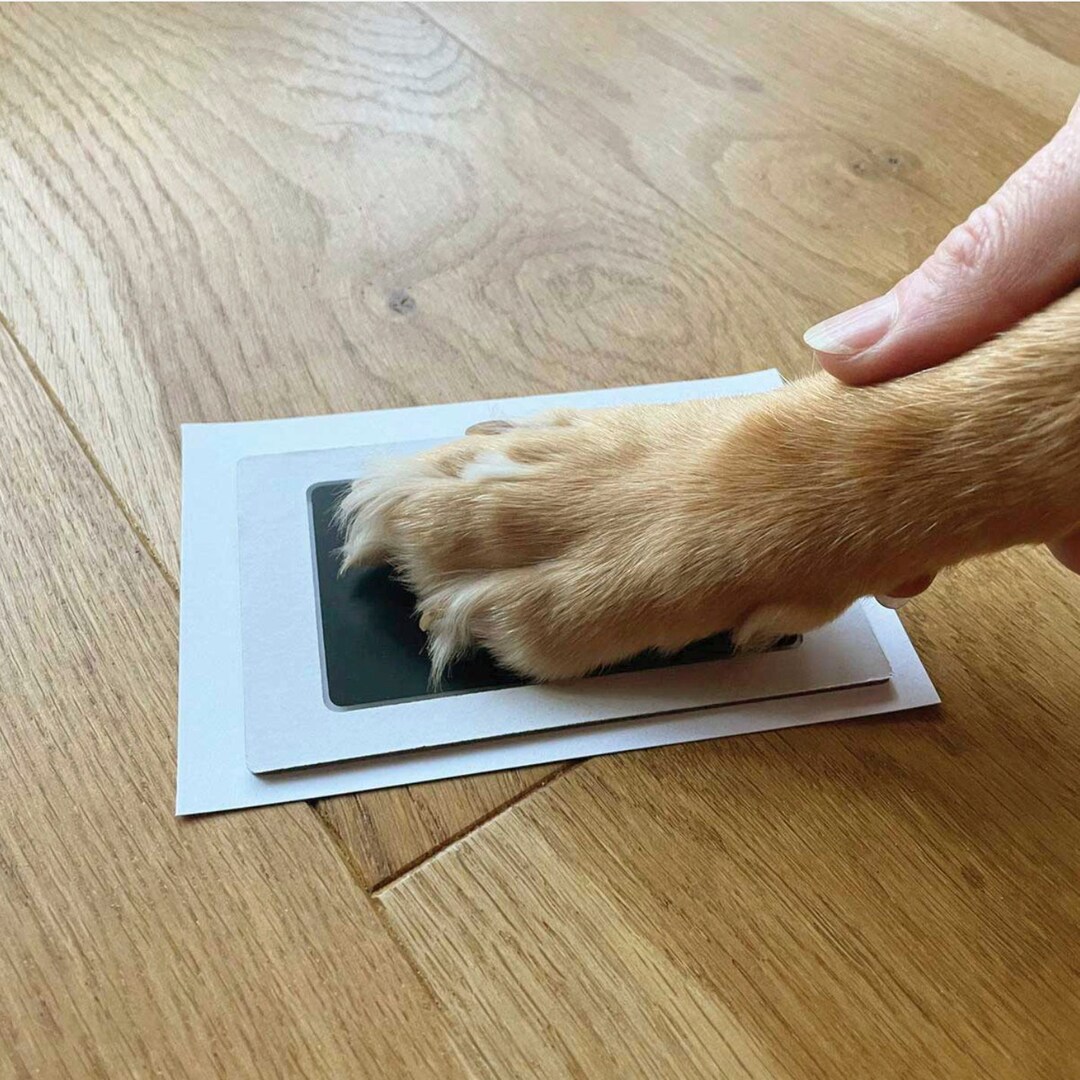 Pet Safe Nontoxic Paw Print Ink Pad Kit Etsy