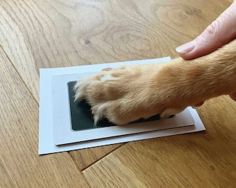 May include: A pet paw print kit with a dog's paw pressed onto the black ink pad. The paw is light brown and the ink pad is on a white paper. The image is on a wooden surface.