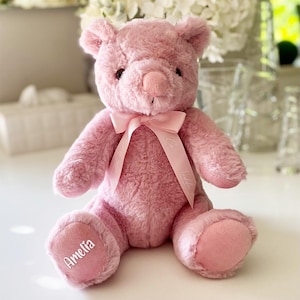 Personalised Name Ashes Keepsake Bear in Pink | Memorial Gift | Cremation Urn for Ashes Bear | Personalised Teddy Bear | Bear with Ashes Tin