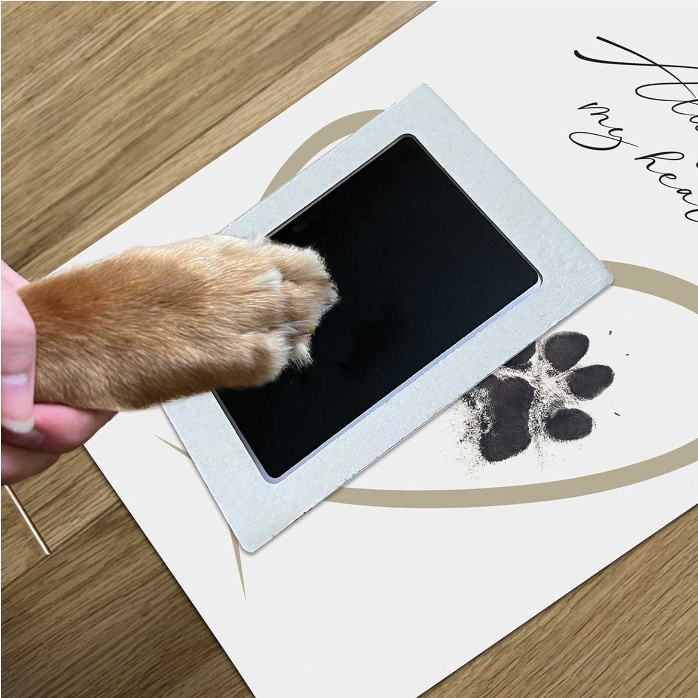 Framed Pet Paw Print Keepsake With Ink Kit 