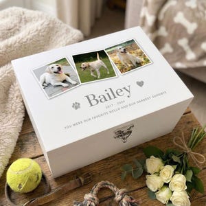 Op de afbeelding: Een witte houten gedenkbox voor huisdieren met drie foto's van een hond. De doos is gelabeld met "Bailey" met de jaren 2017-2024 en de zin "You were our favorite hello and our hardest goodbye." Een tennisbal, een hondenriem en een touwspeeltje liggen in de buurt.
