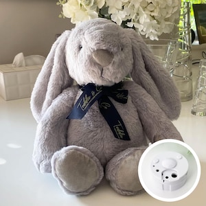 May include: A grey plush bunny rabbit toy with a blue ribbon tied around its neck. The ribbon has the text "Teddy & Co." printed in gold. The bunny is sitting on a white surface. A white round object with holes is in the bottom right corner of the image.