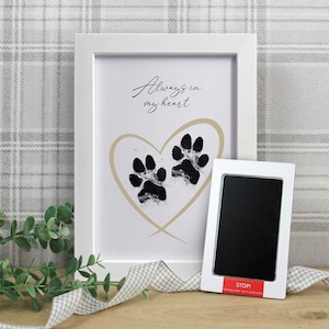 Pet Paw Print Keepsake Framed Kit | Pet Memorial | Paw Print Memorial | Pet Remembrance | Paw Keepsake Idea | Pet Memory Keepsake | Pet Loss