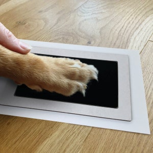 Pet Safe Extra Large Non-Toxic Paw Print Ink Pad Kit XL | Keepsake for Larger Paws | Paw Print Keepsake |Dog Paw Print Kit |Pet Paw Printing