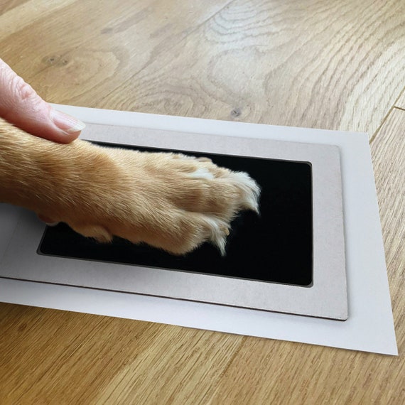 Paw Print Ink Pad